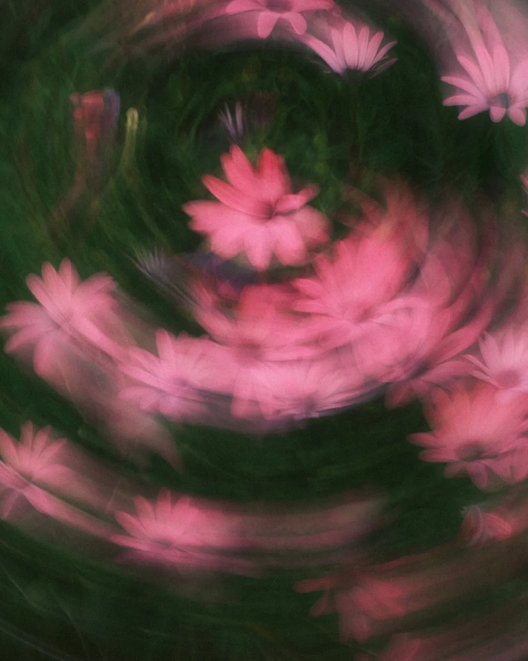 Portfolio photo - Abstract in Nature