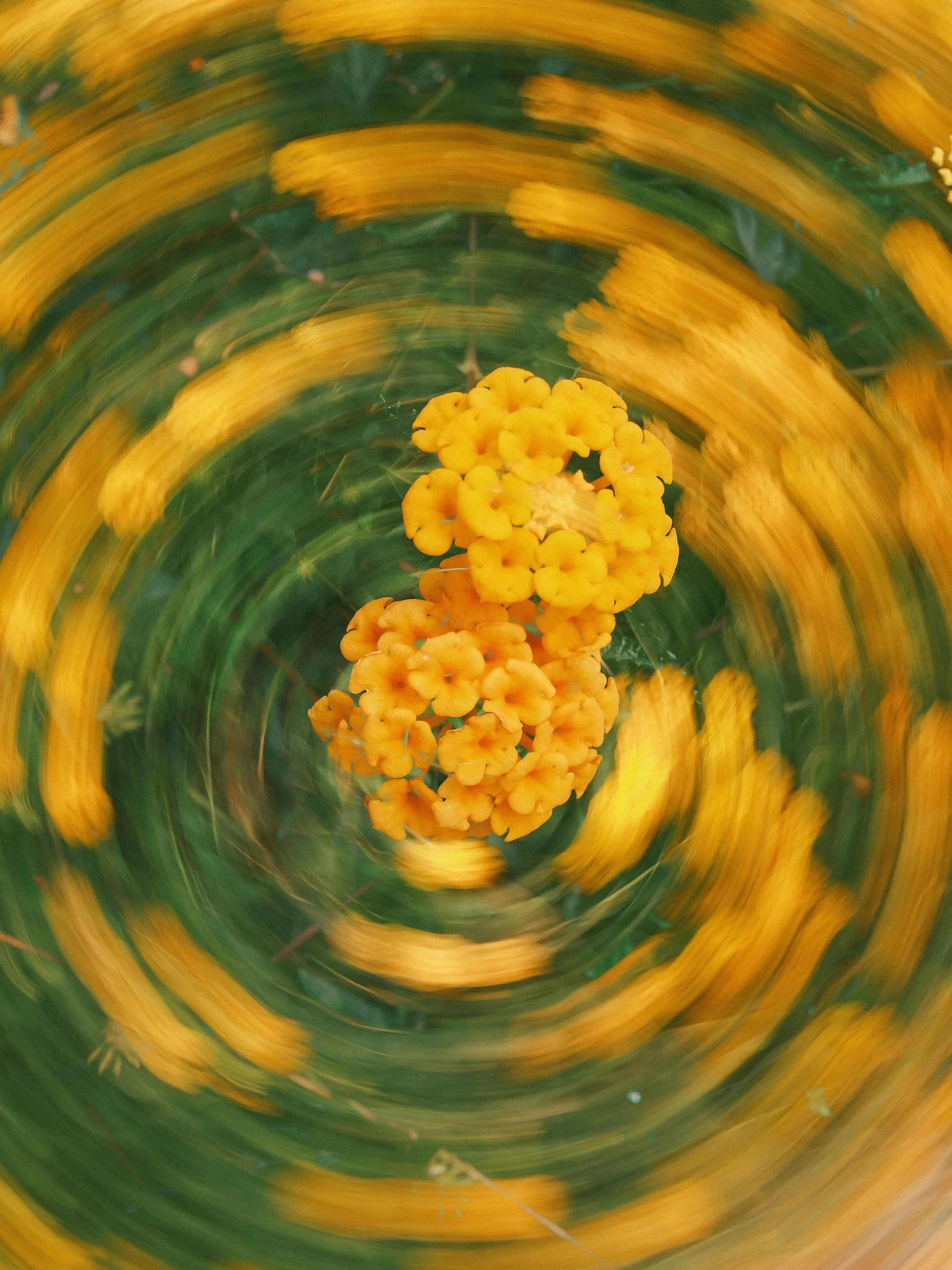 Portfolio photo - Abstract in Nature