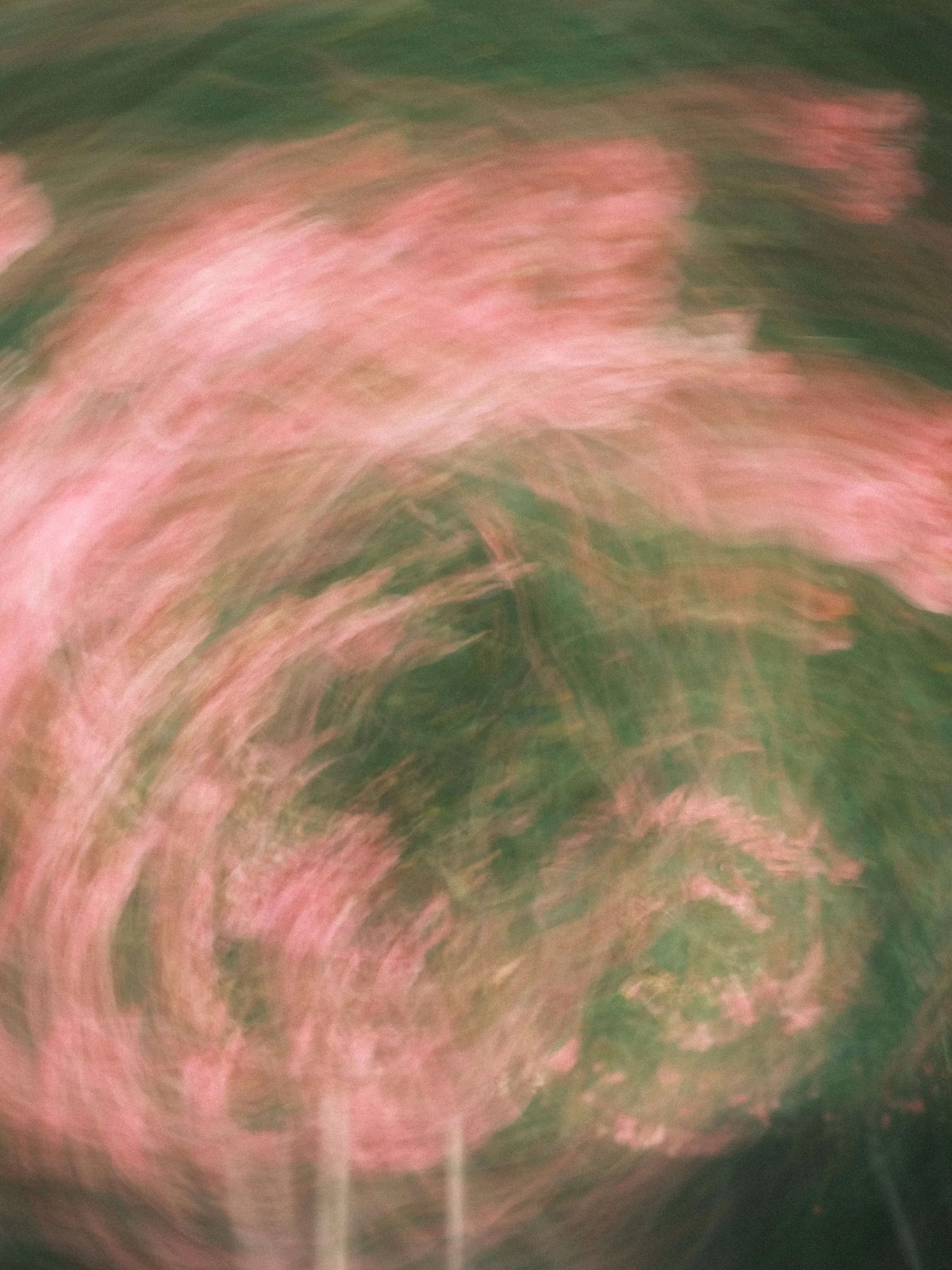 Portfolio photo - Abstract in Nature