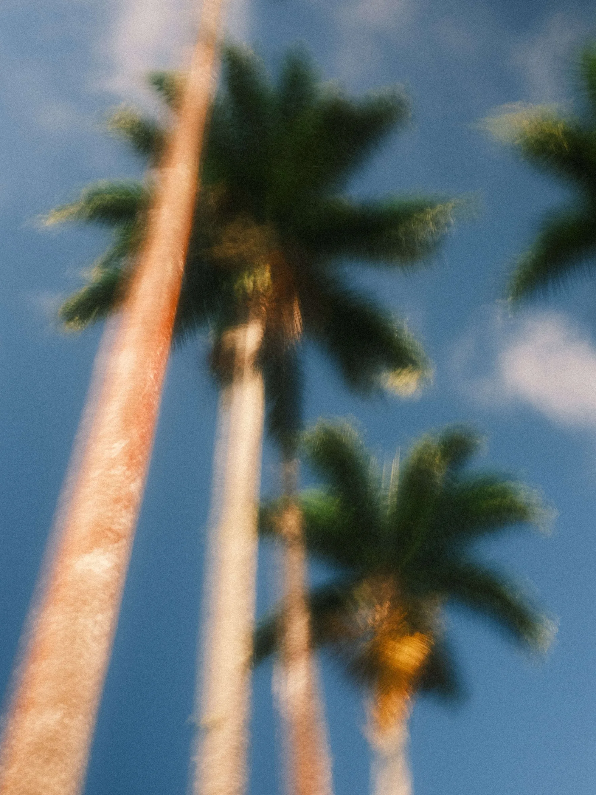 Portfolio photo - Abstract in Nature