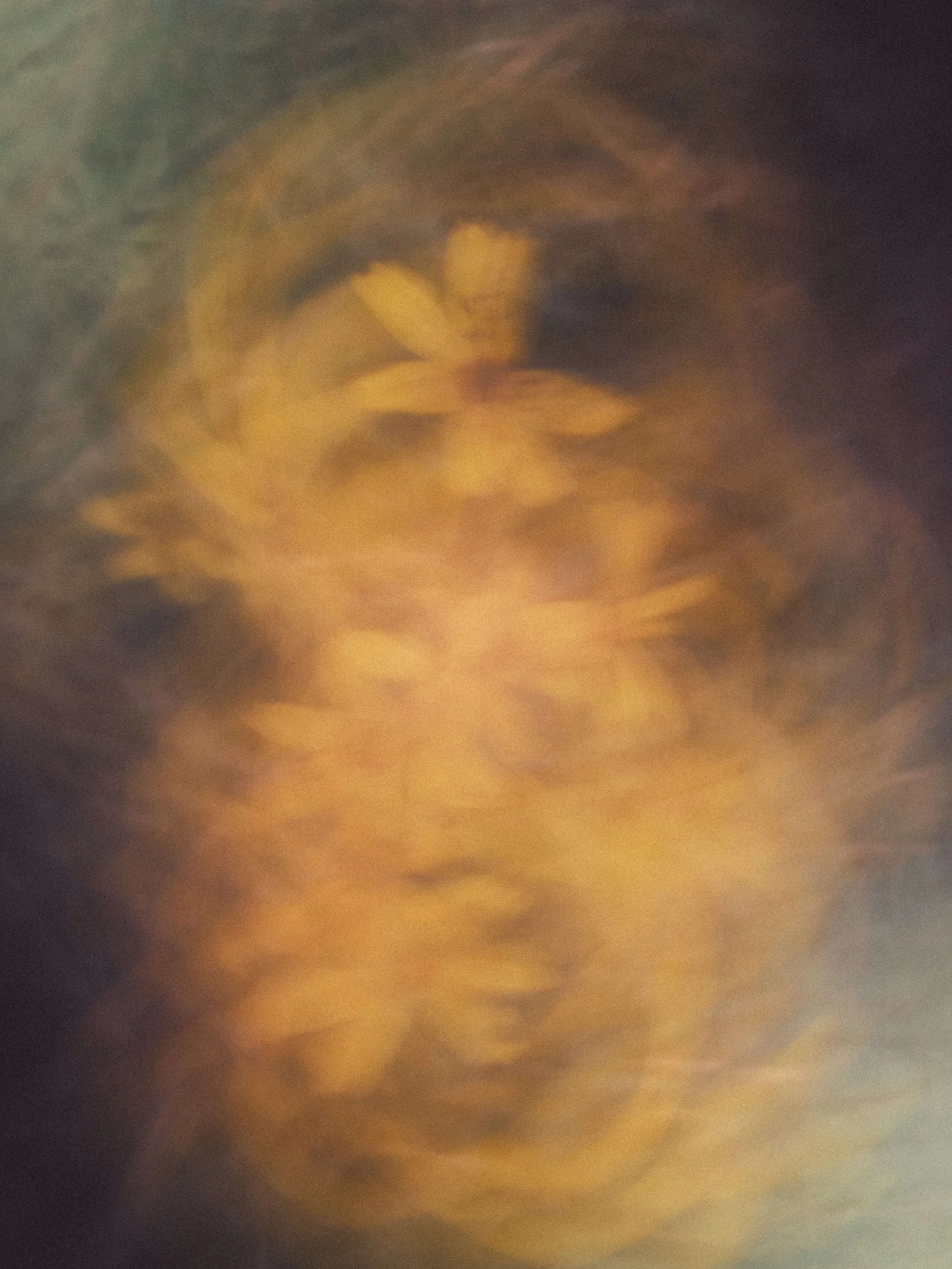 Portfolio photo - Abstract in Nature