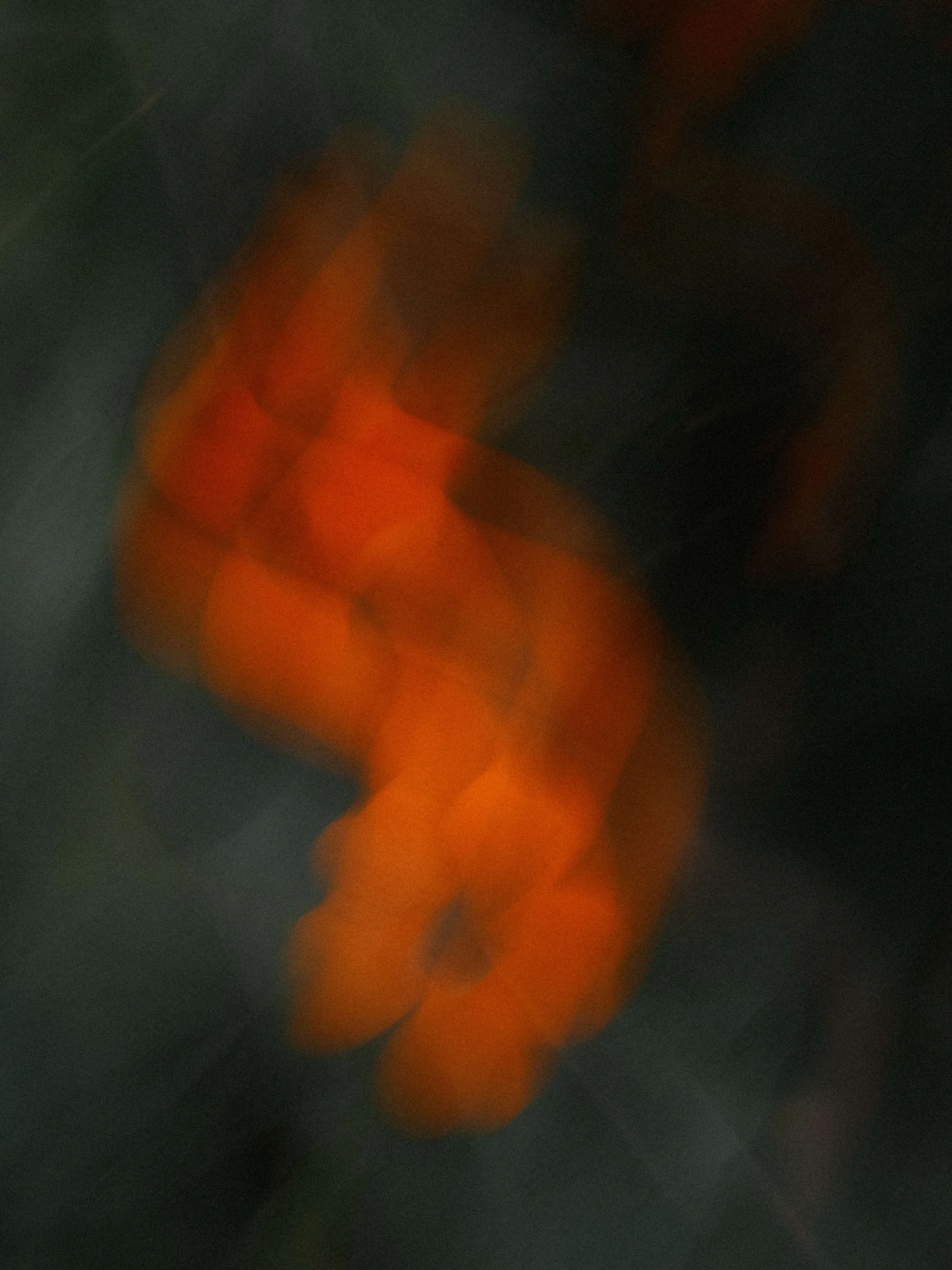 Portfolio photo - Abstract in Nature