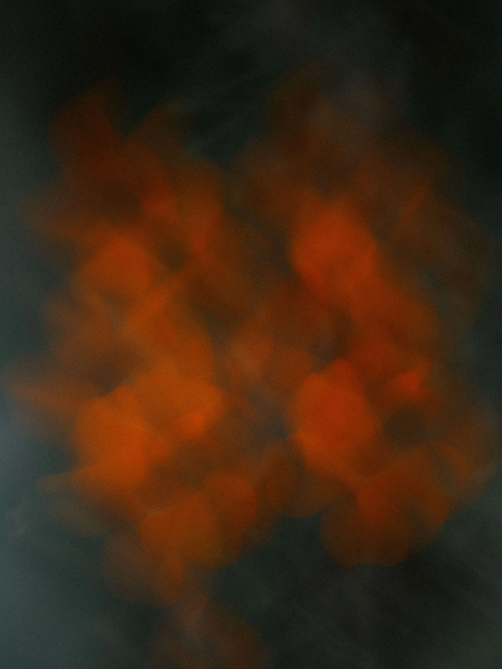 Portfolio photo - Abstract in Nature