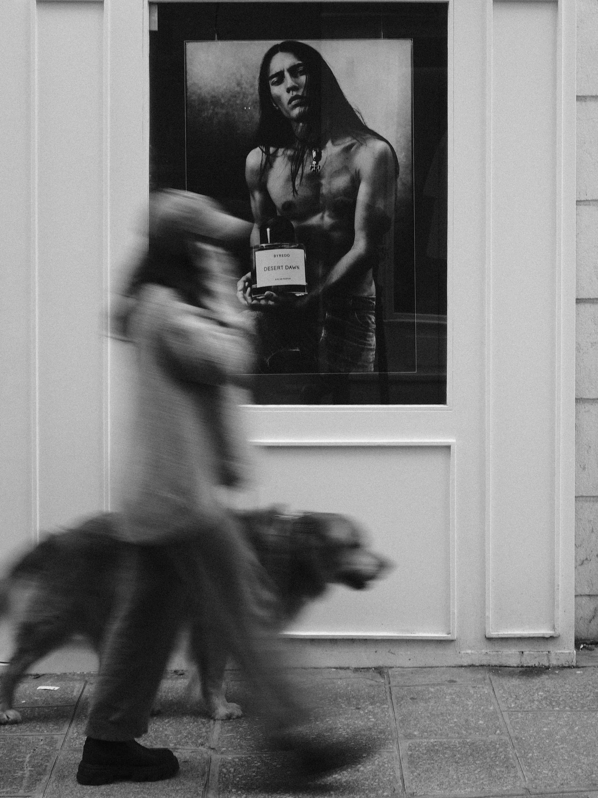 Portfolio photo - Black & White