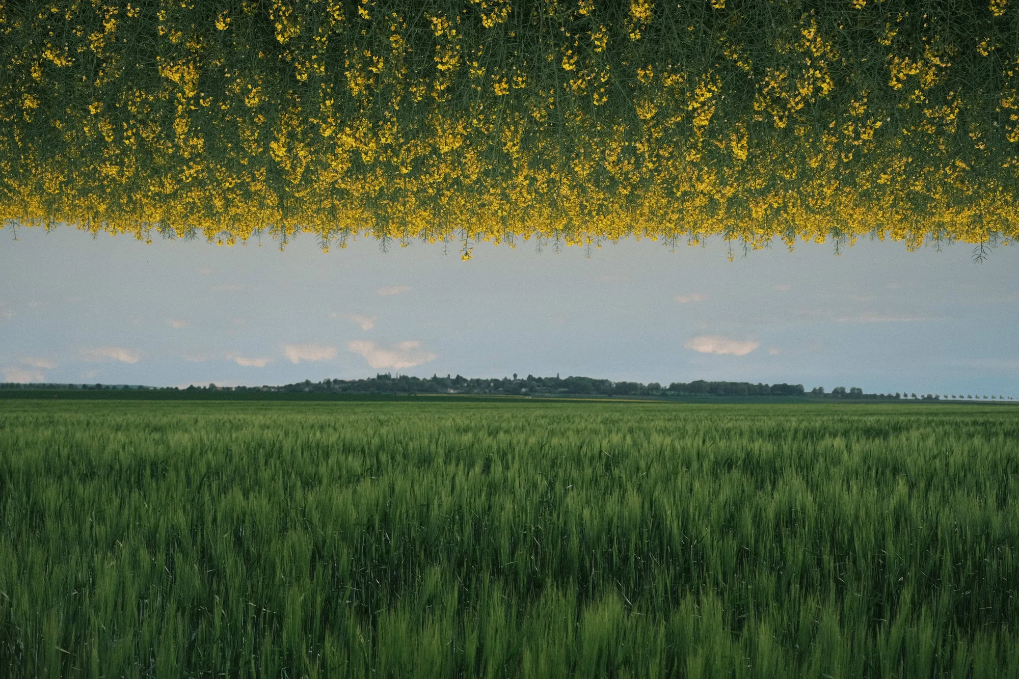 Portfolio photo - Double Exposure