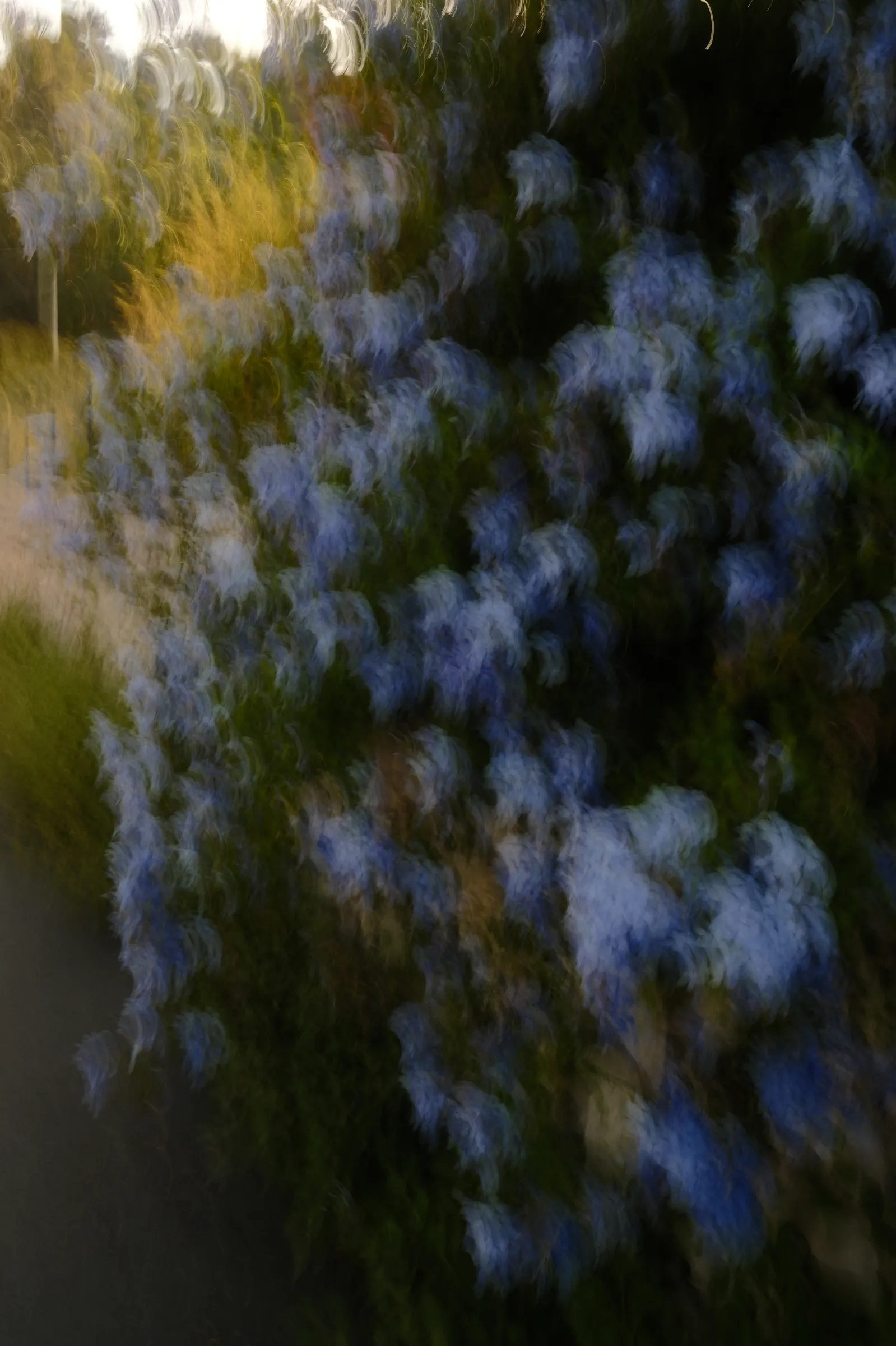 Impressionism vision of flowers in Taormina, Sicily - Essenza Fujifilm Film recipe