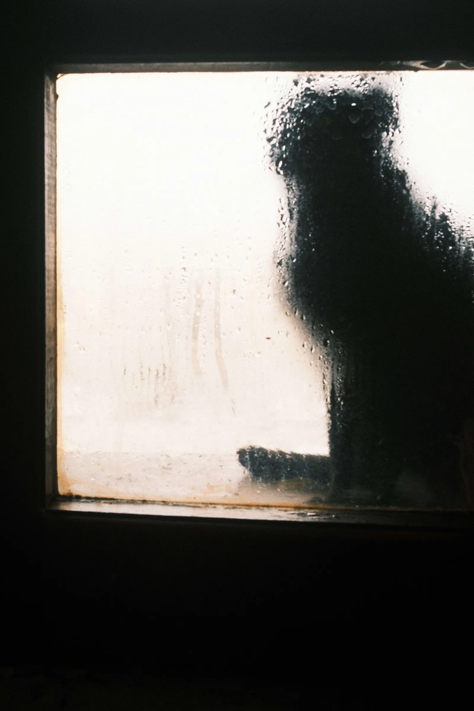 A cat through the window in Goreme, Cappadocia.
