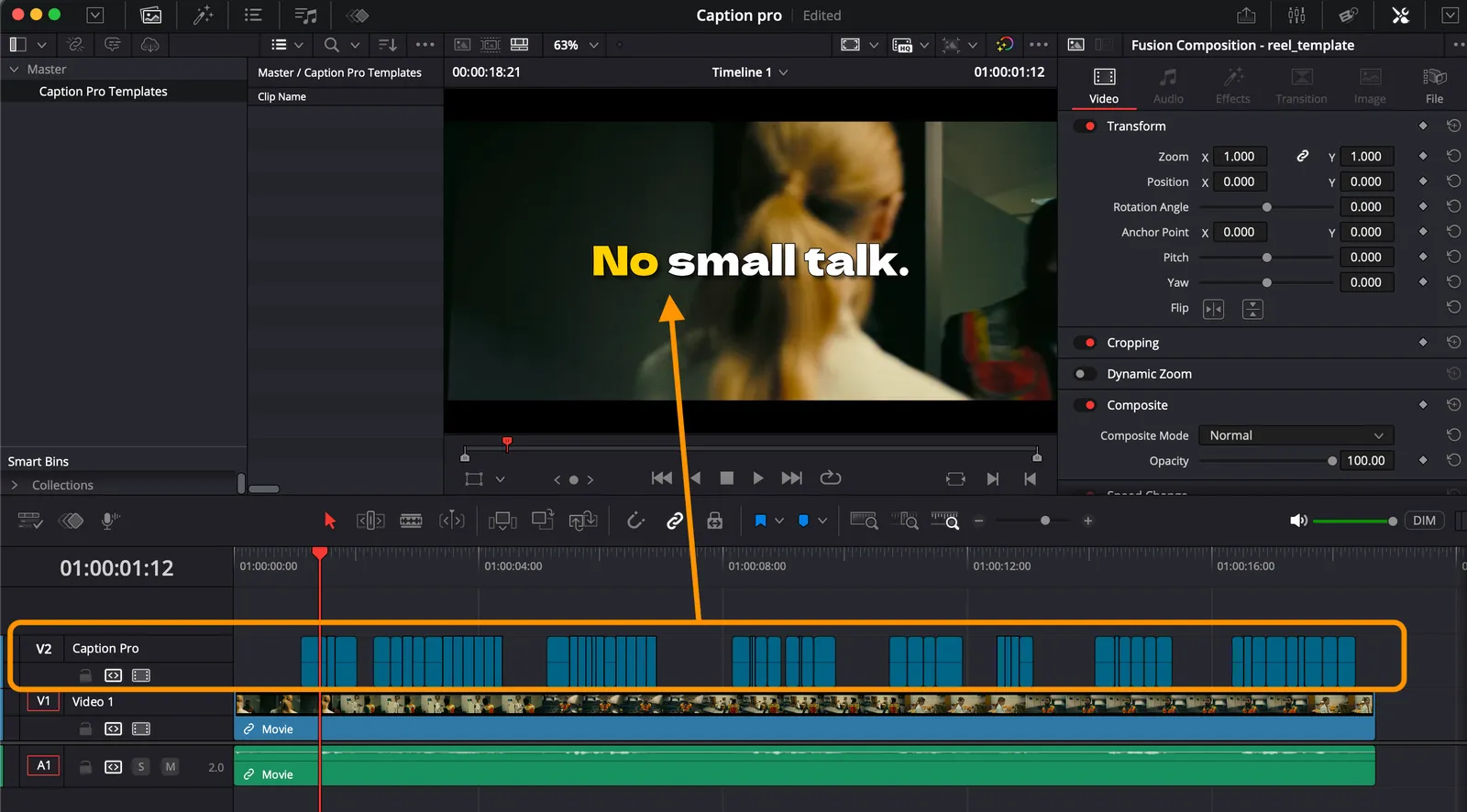 Caption Pro - auto caption and translation tool for DaVinci Resolve.