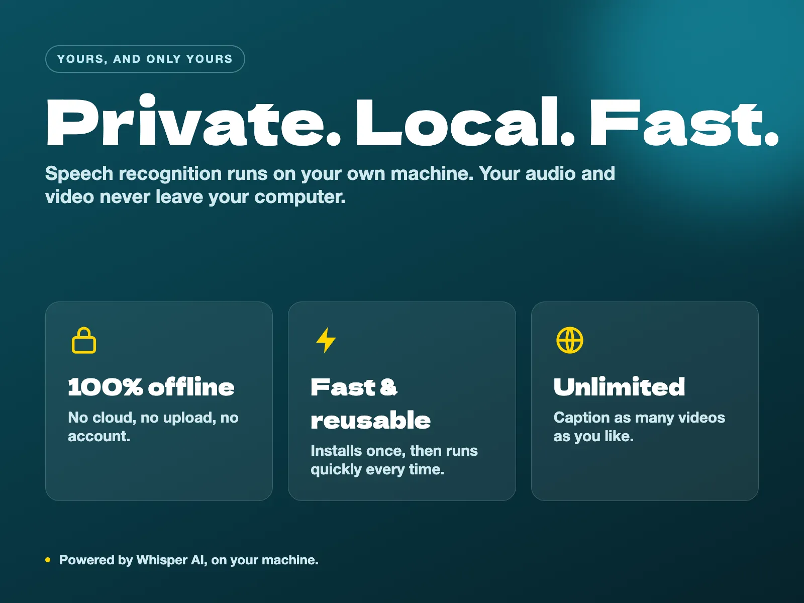 Private, local, fast. Caption Pro - auto caption and translation tool for DaVinci Resolve.