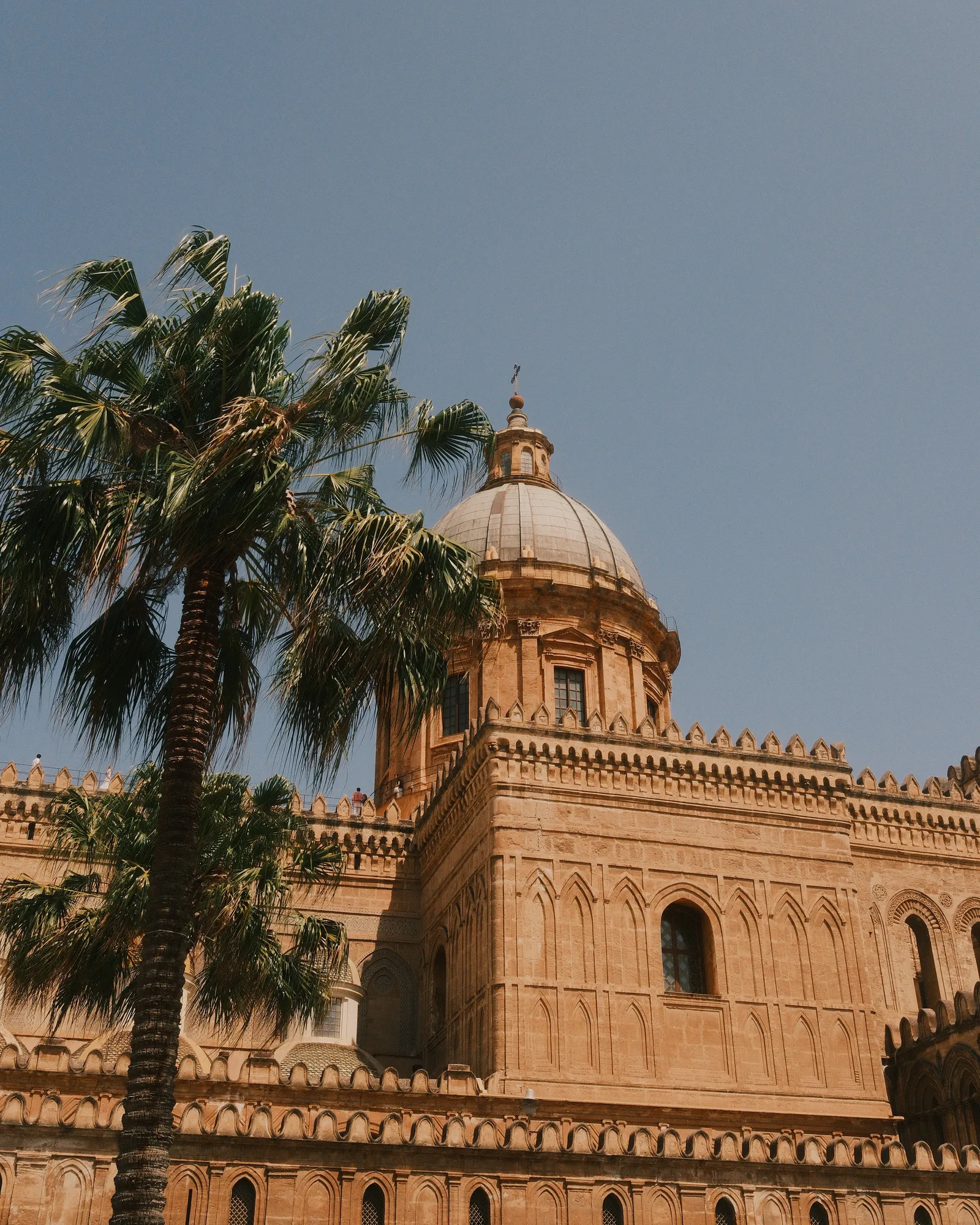 The Cathedral of Palermo The Cathedral of Palermo, in Sicily and a palm tree