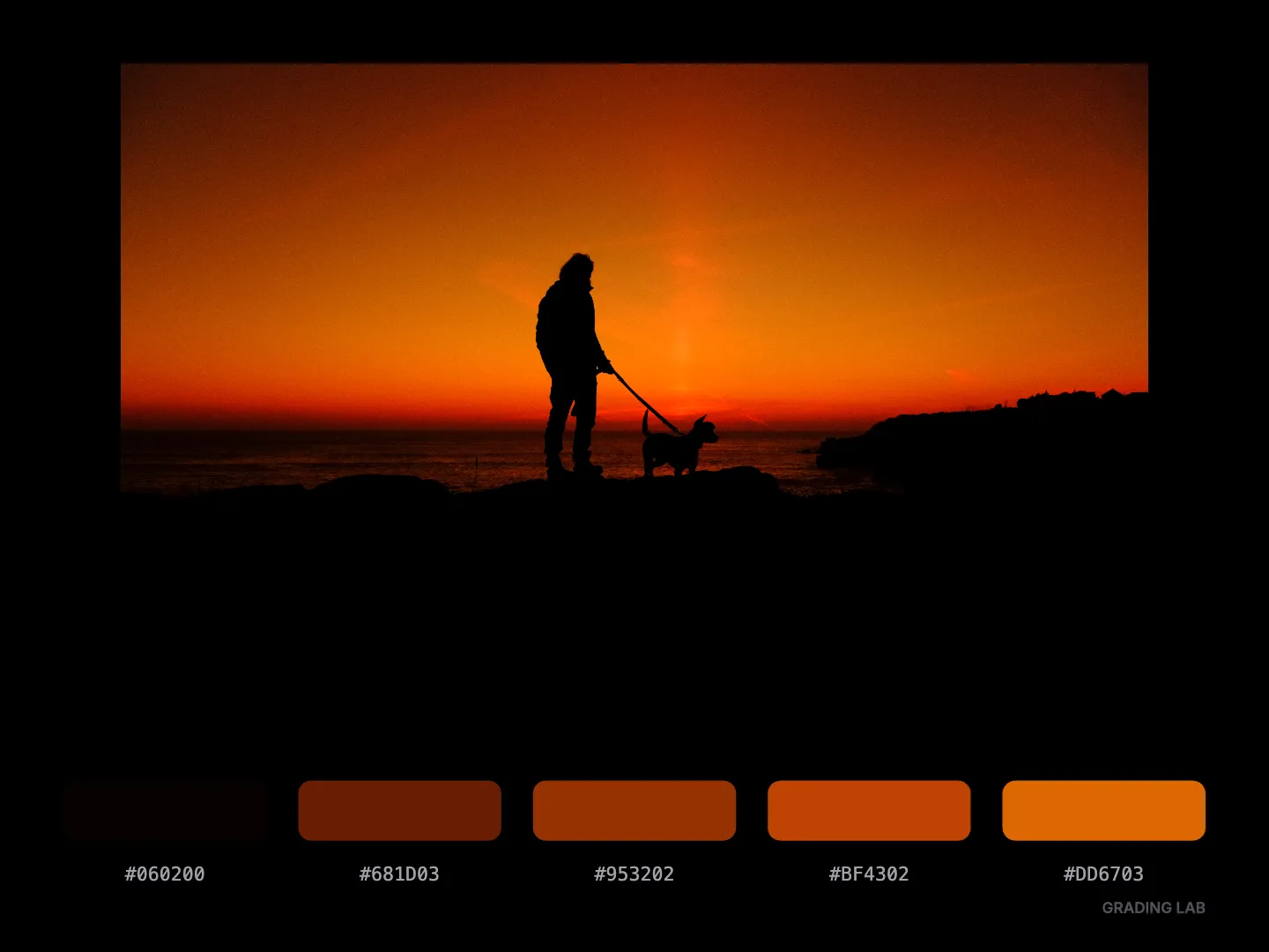 Grading Lab: Why I Built a Color Palette Extractor for Photographers