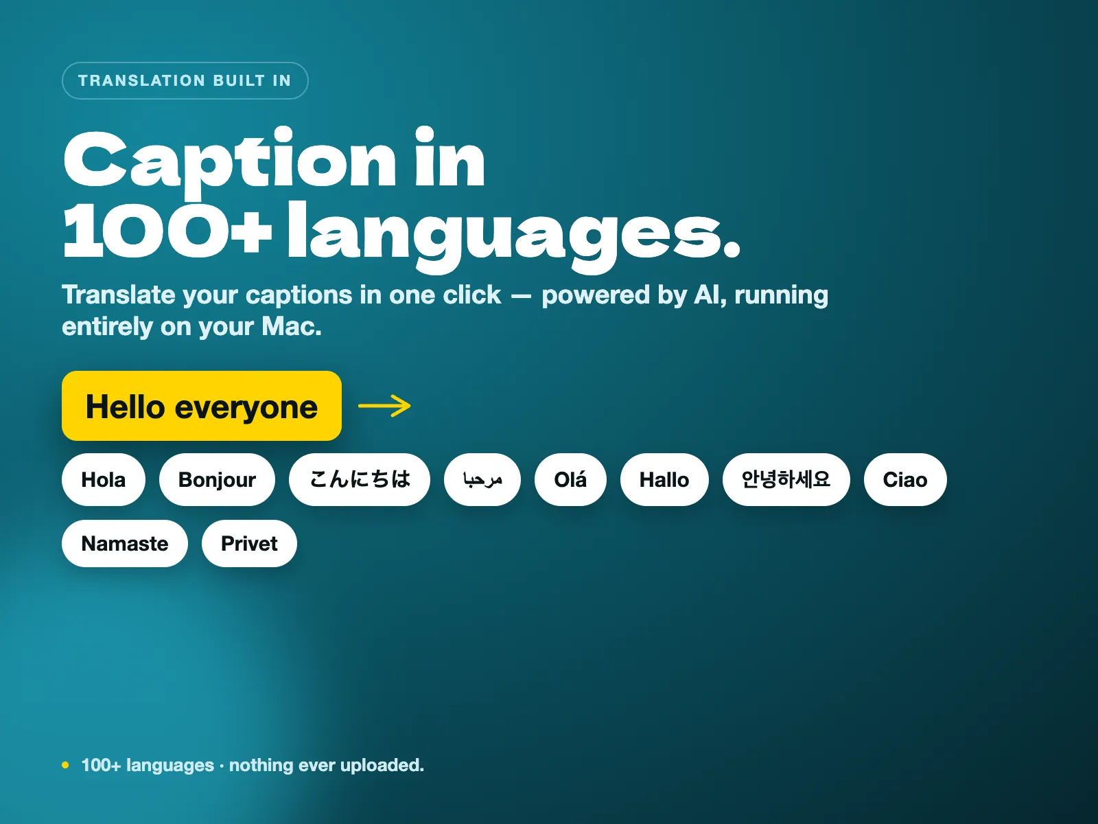 Caption in 100+ languages. Caption Pro for DaVinci Resolve.