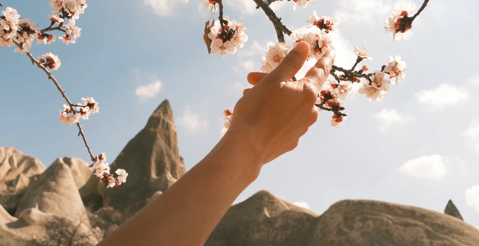 How to use Fujifilm film simulations for cinematic video
