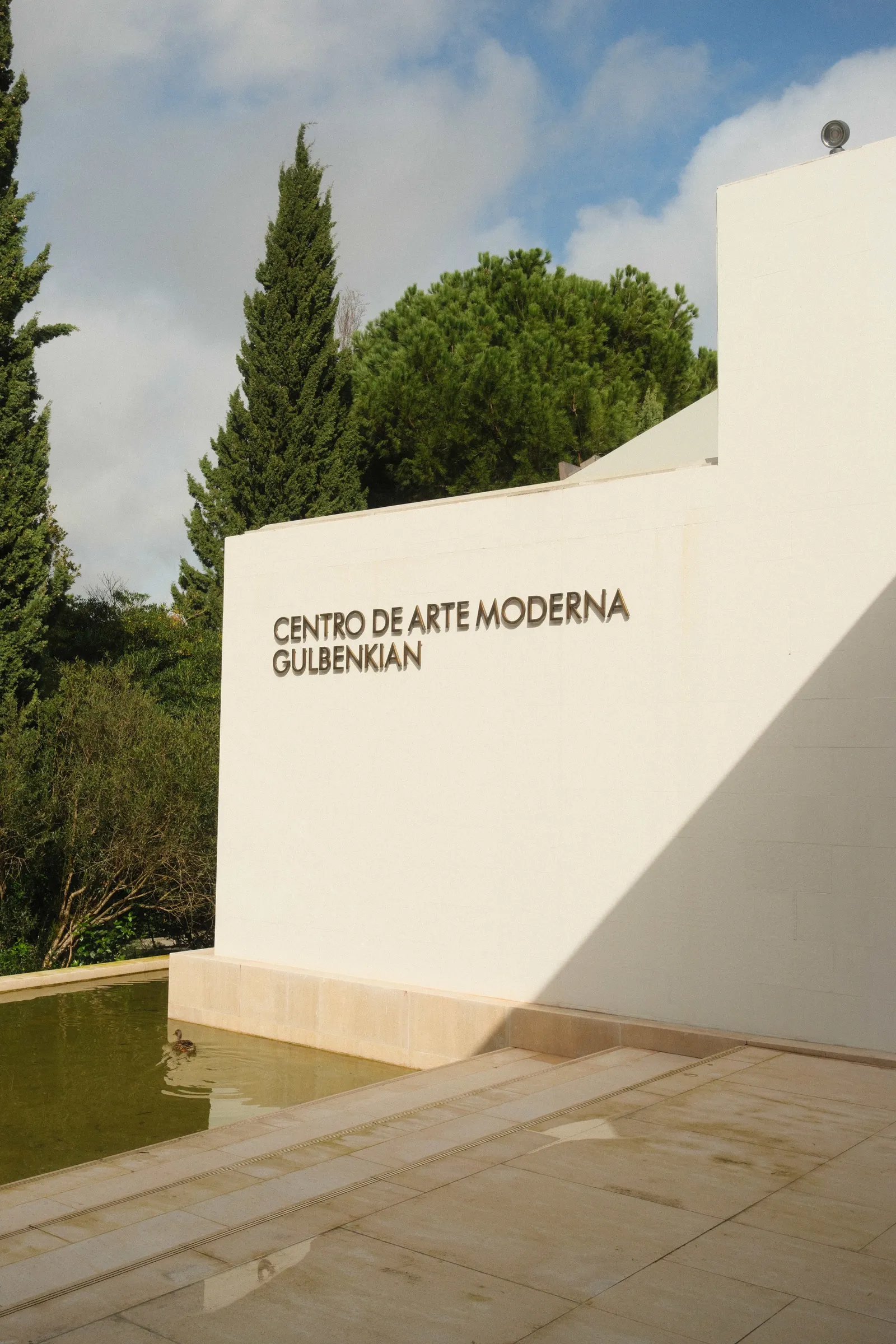 Centro de Arte Moderna Gulbenkian lettering on a white wall above a reflecting pool with a duck