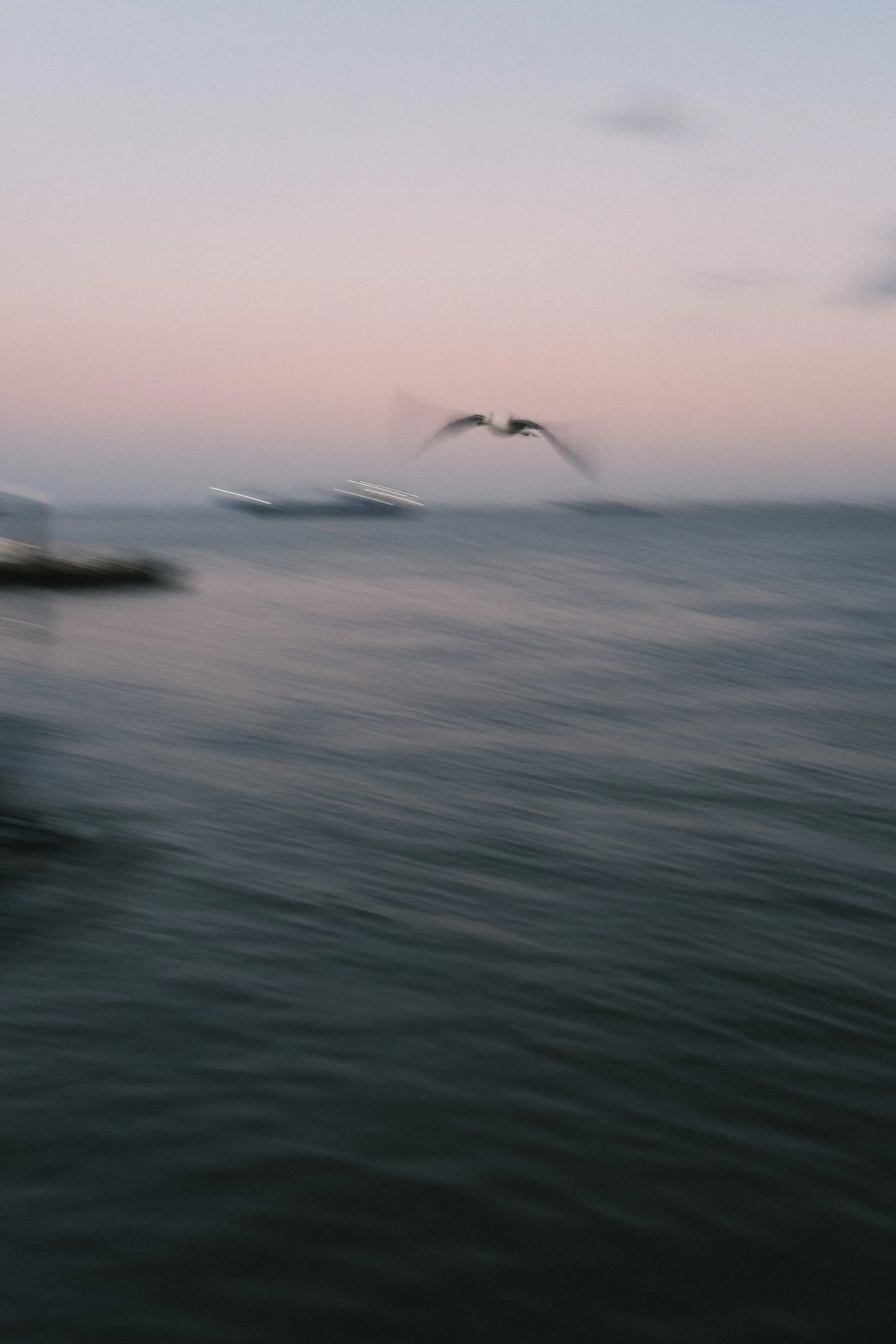 Seagull frozen mid-flight over the Tagus at dusk, water and horizon smeared by a slow shutter