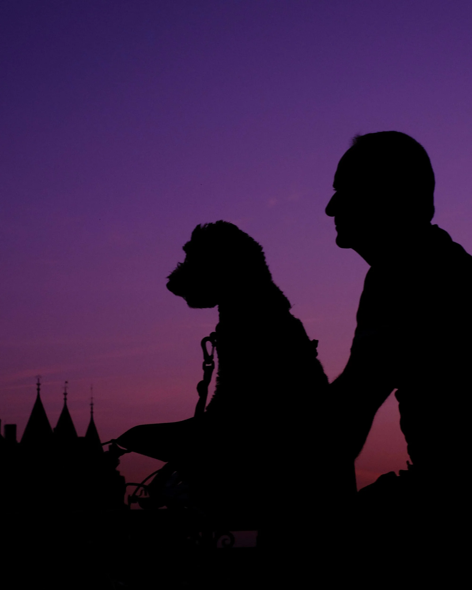 Portfolio photo - Silhouettes
