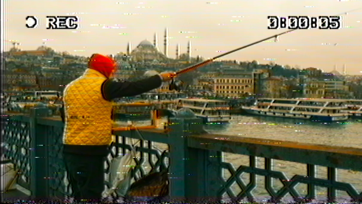VHS Nostalgia plugin preview - NTSC signal emulation before and after